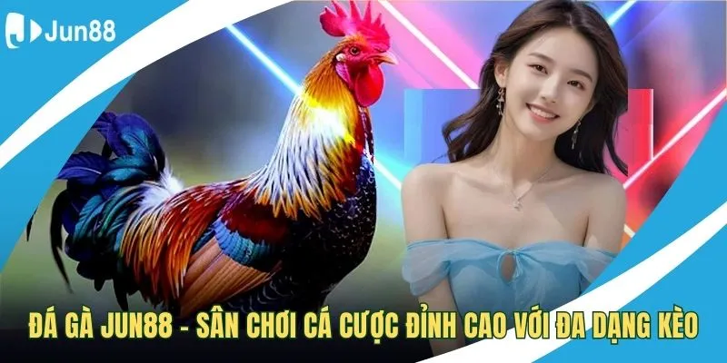 ảnh đại diện đá gà jun88