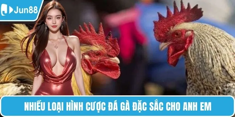 Nhiều loại hình cược đá gà đặc sắc cho anh em
